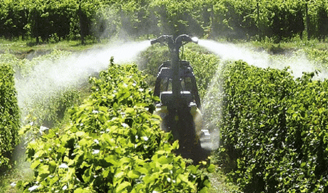 Invasione-di-Prosecco-e-pesticidi-nel-Bellunese_articleimage